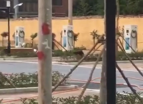 駐馬店市公共停車場充電站80kW雙槍直流充電樁(圖1)