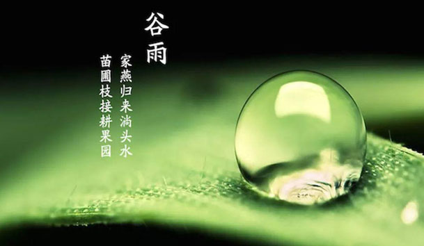 今日谷雨 | 谷得雨而生，夏天要醒了！(圖1)